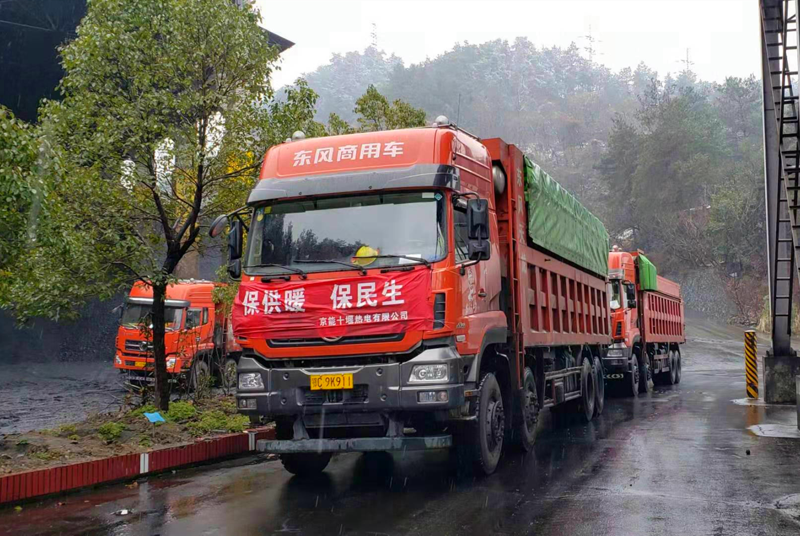 加拿大28预测网