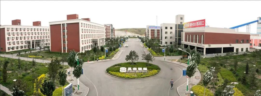 加拿大28预测网