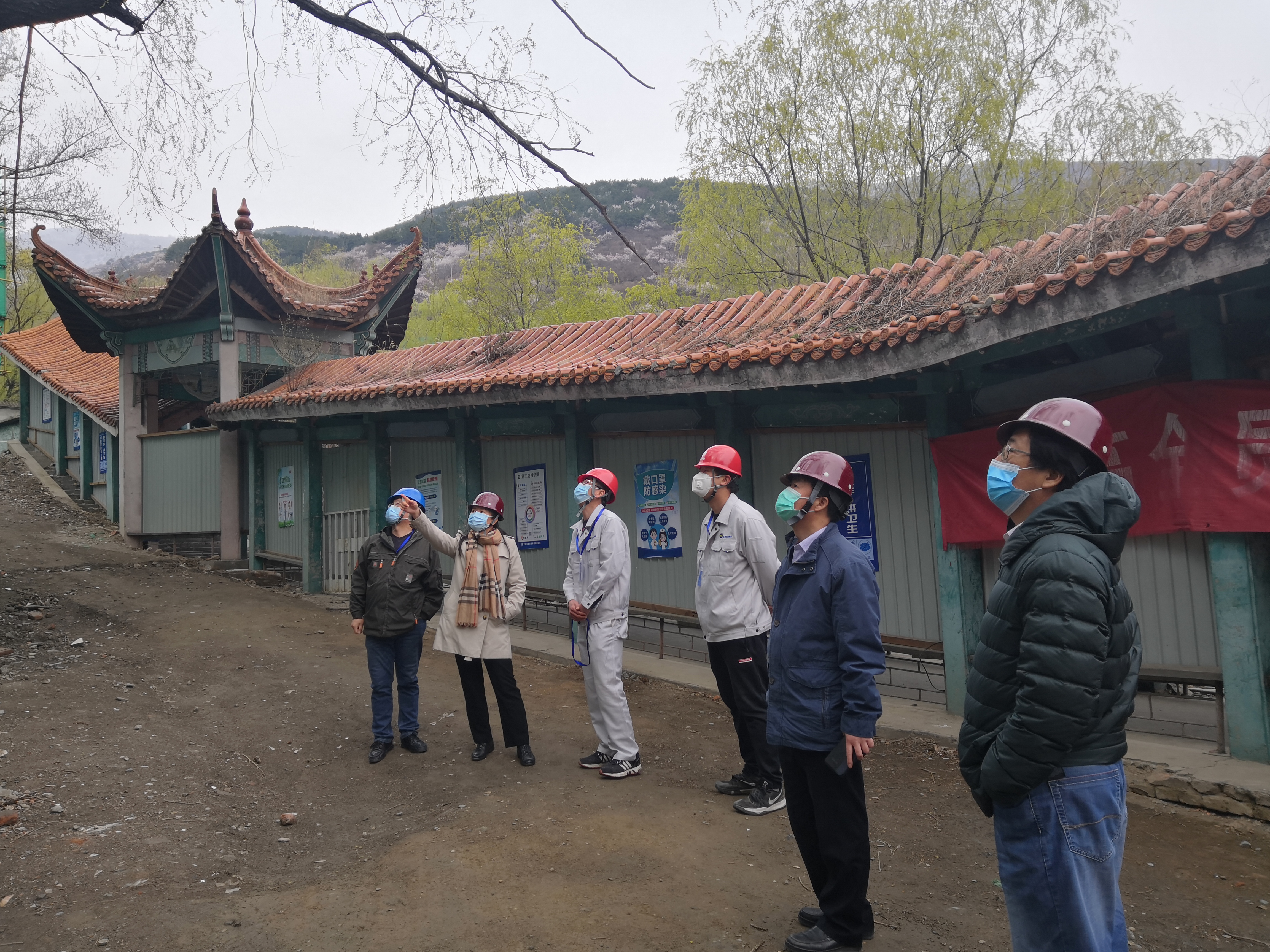 加拿大28预测网