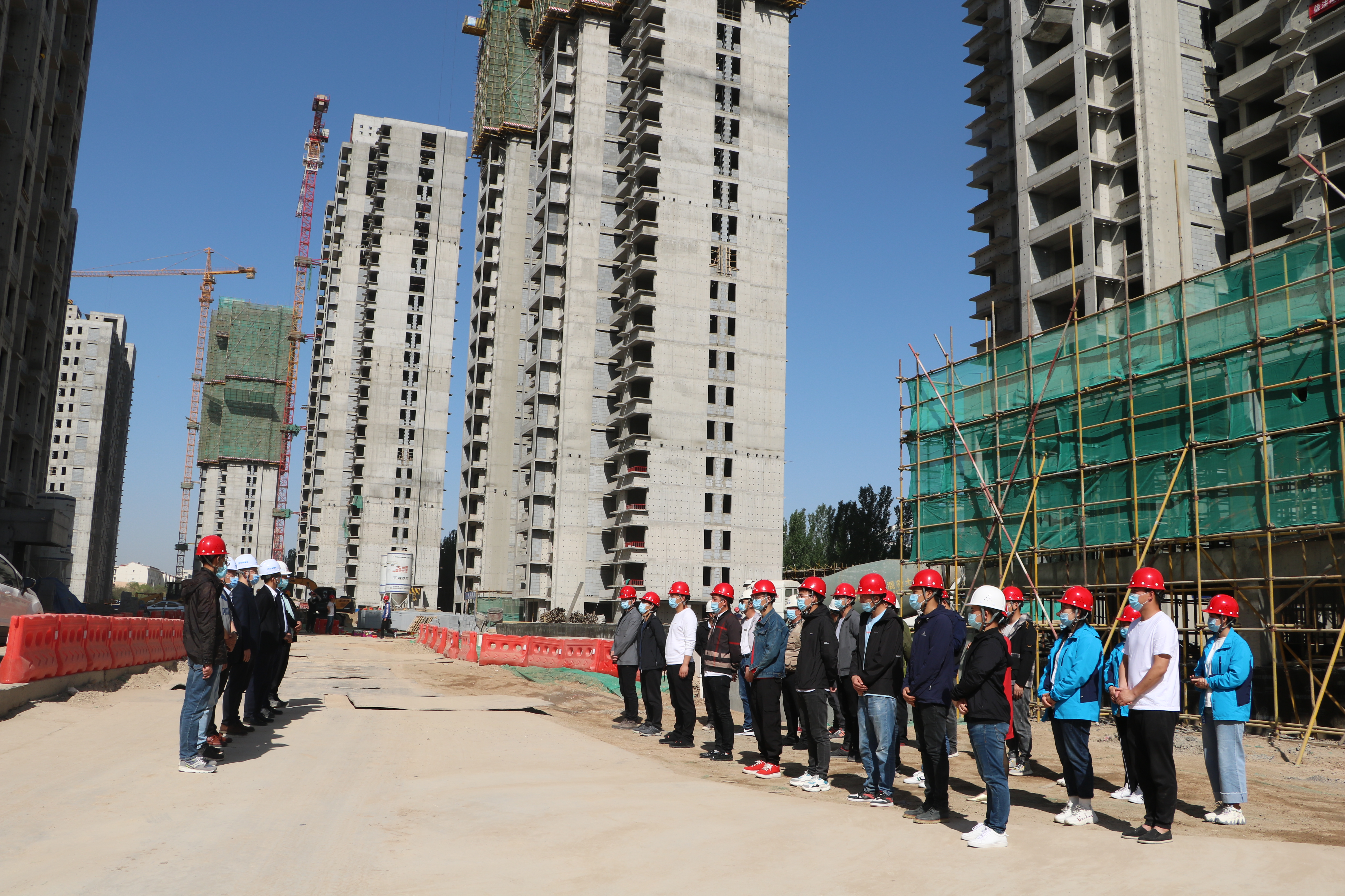 加拿大28预测网