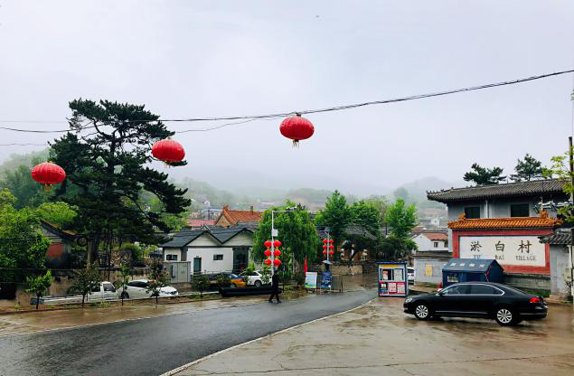 加拿大28预测网