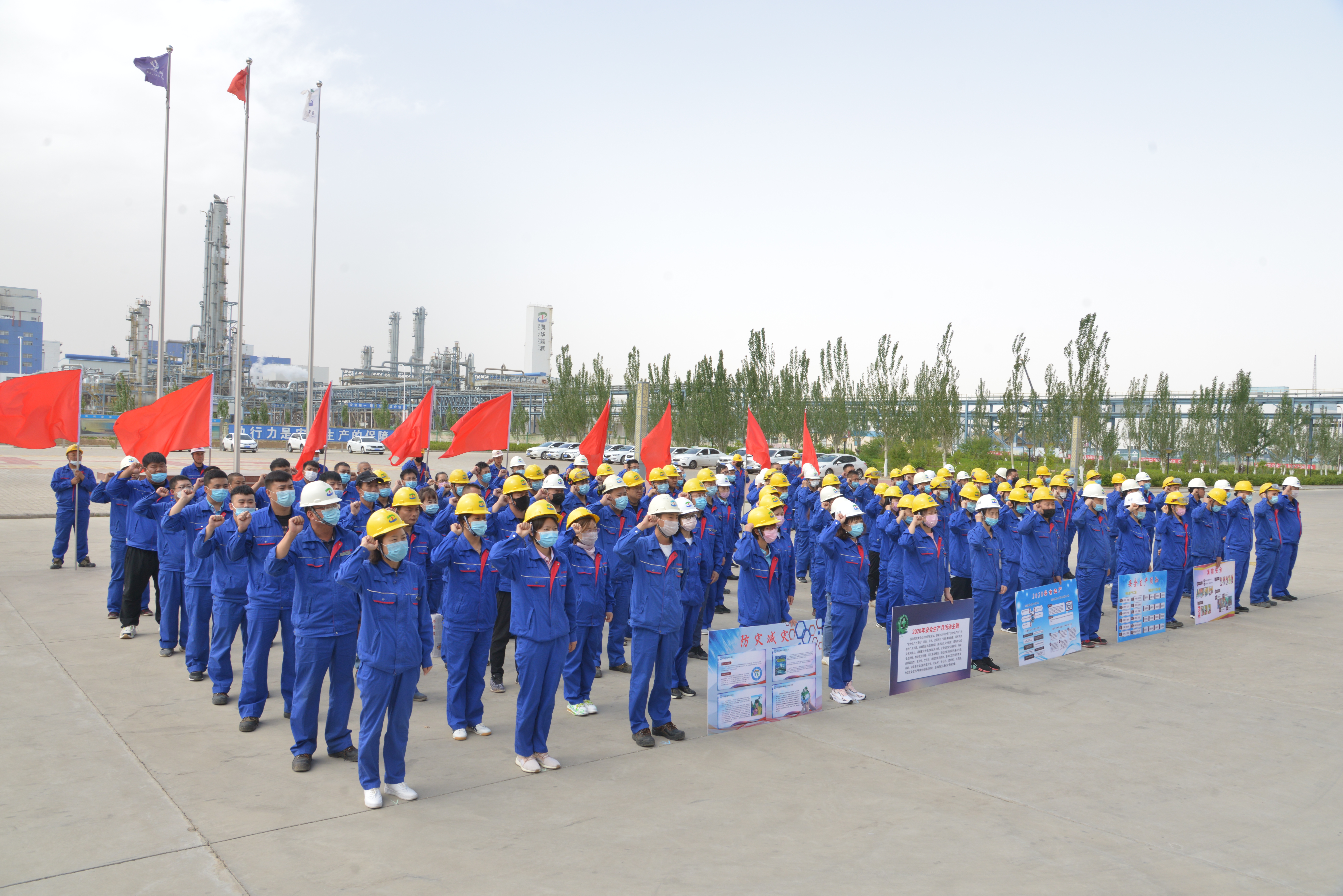 加拿大28预测网