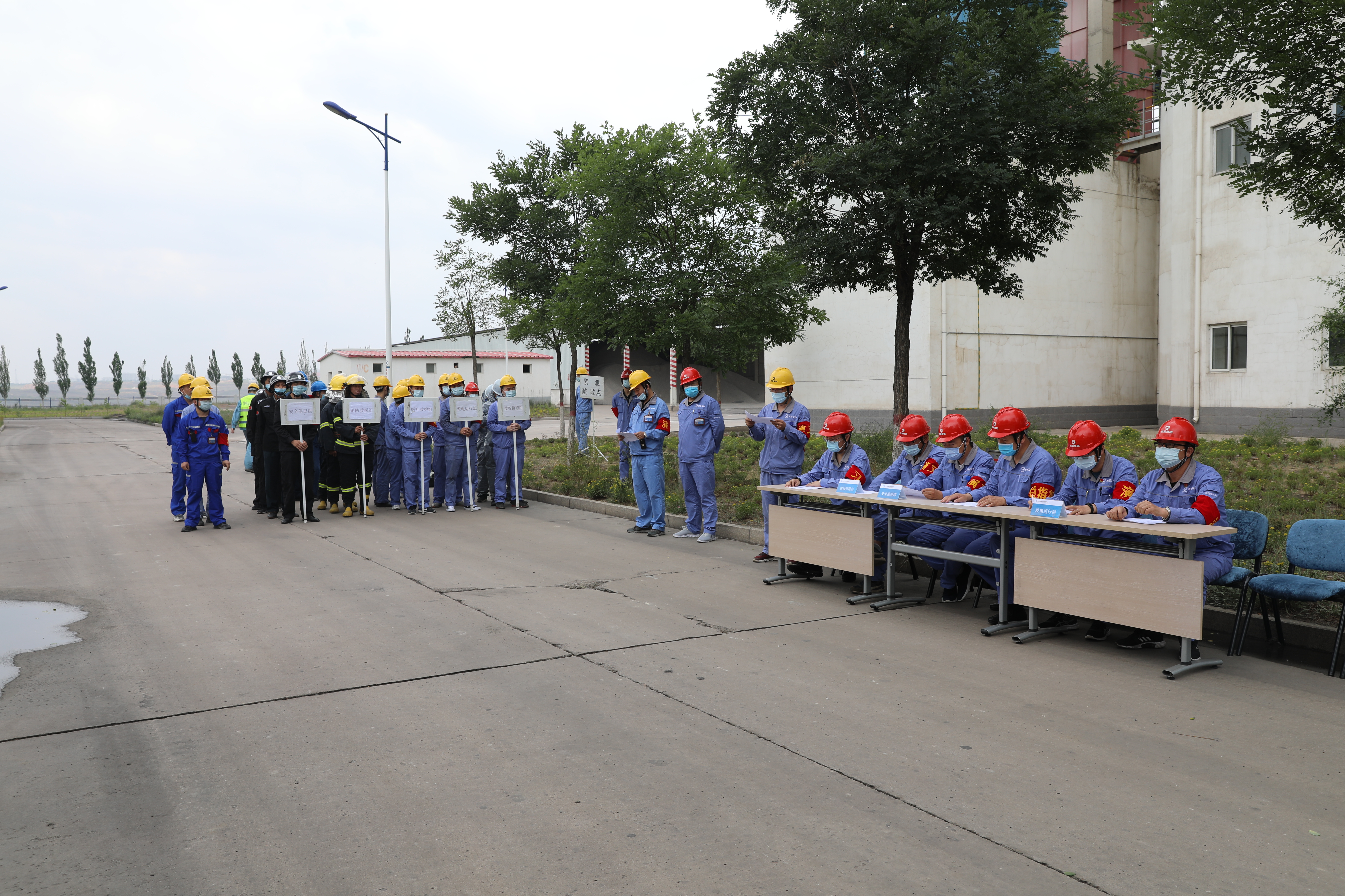 加拿大28预测网