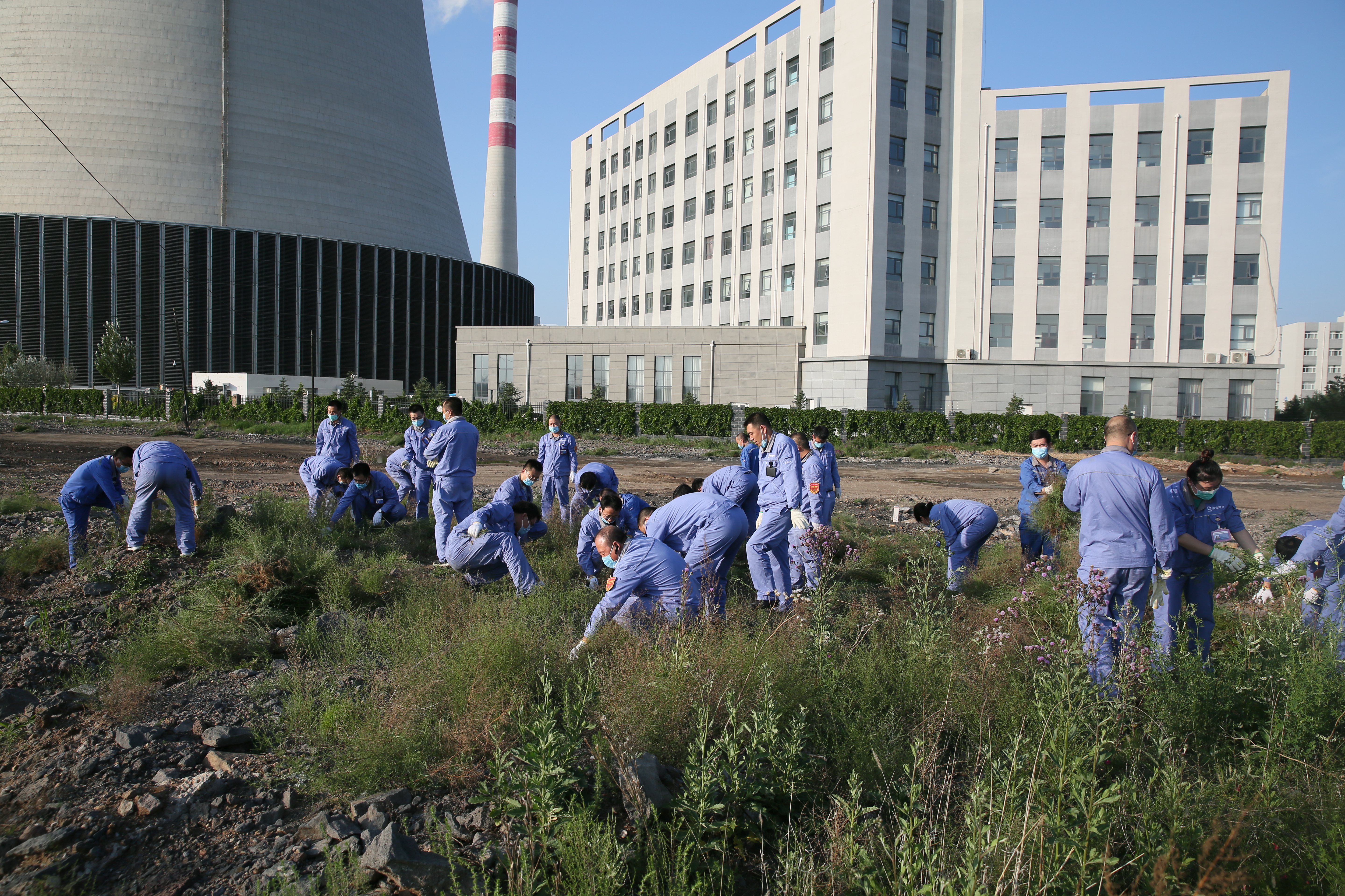 加拿大28预测网