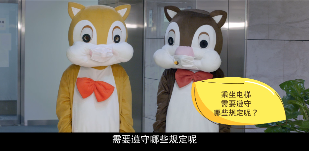 加拿大28预测网