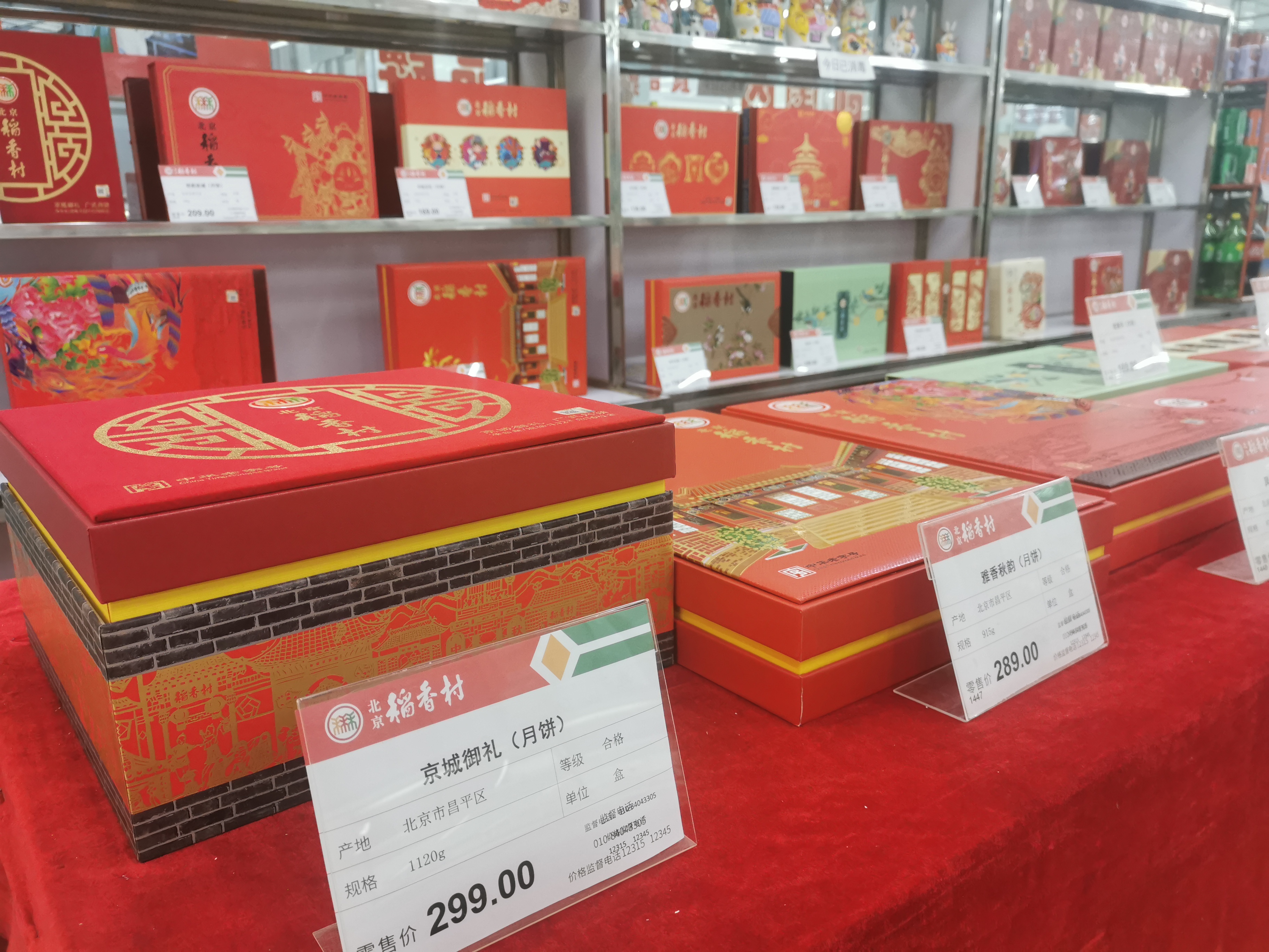 加拿大28预测网