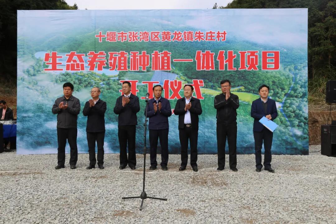 加拿大28预测网