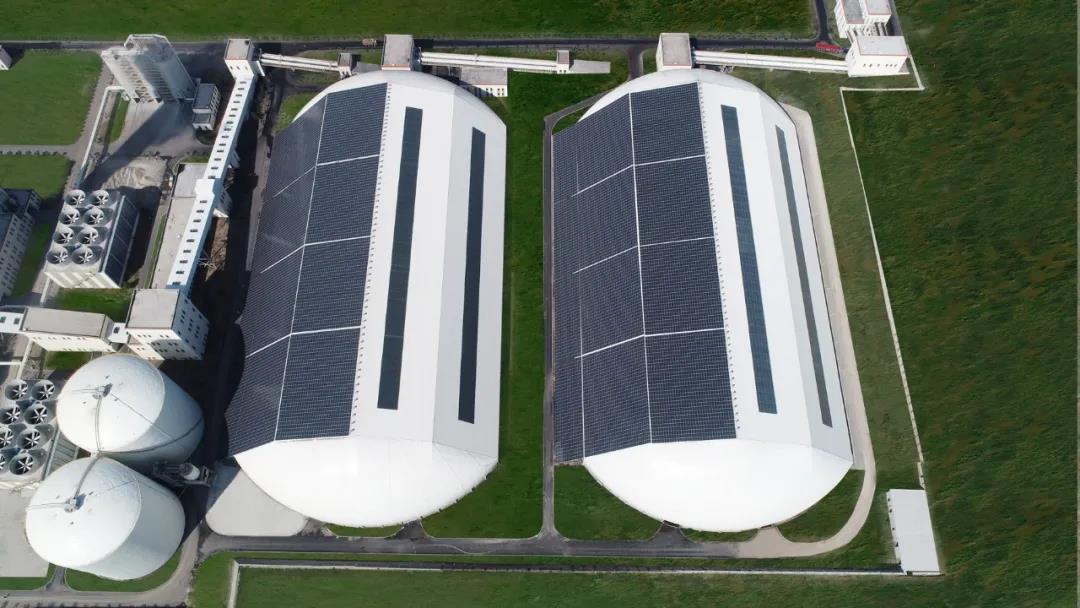 加拿大28预测网