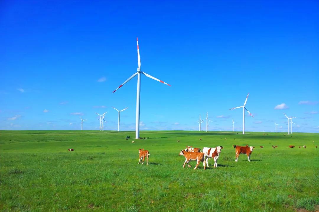 加拿大28预测网