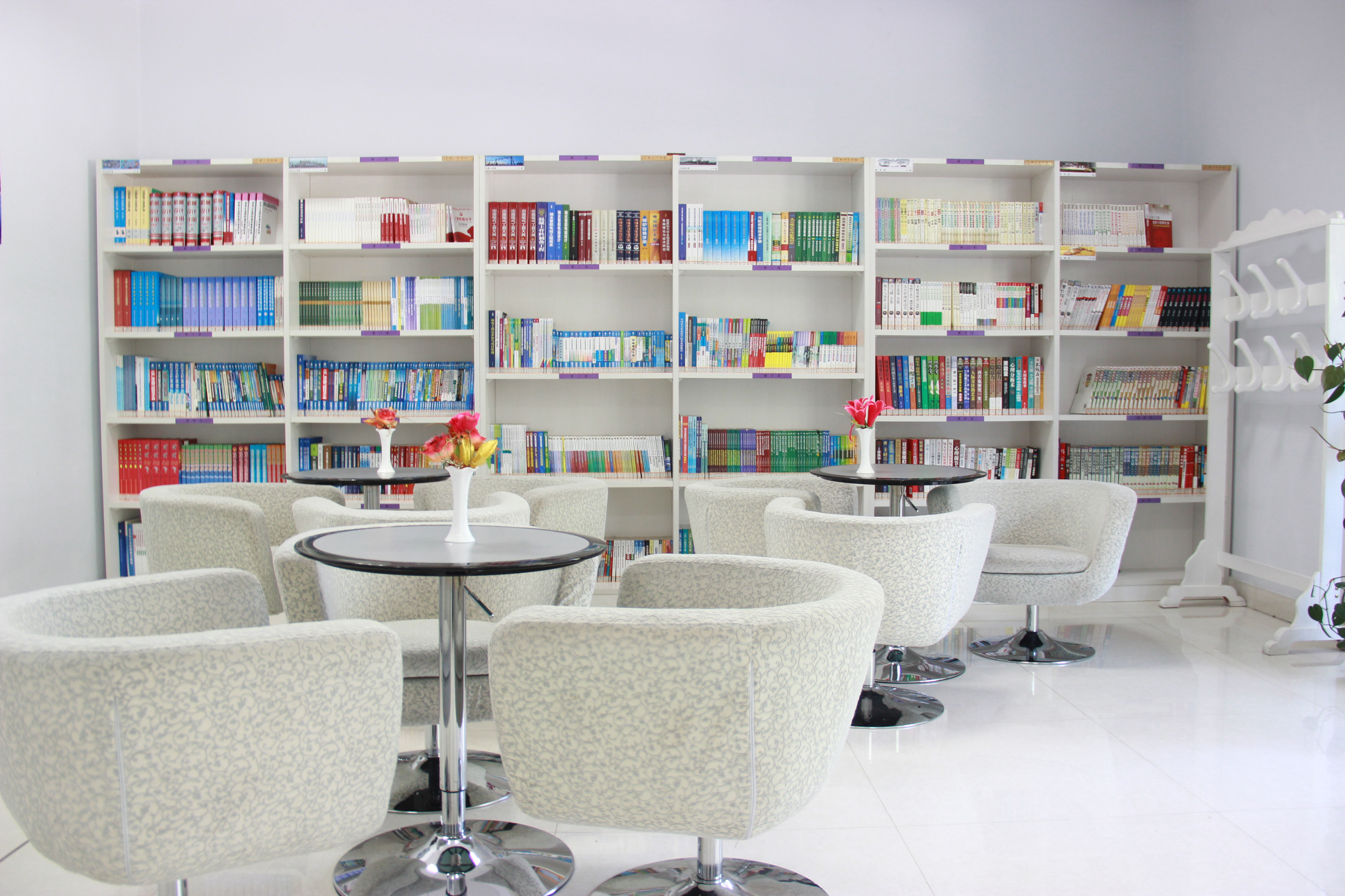 加拿大28预测网