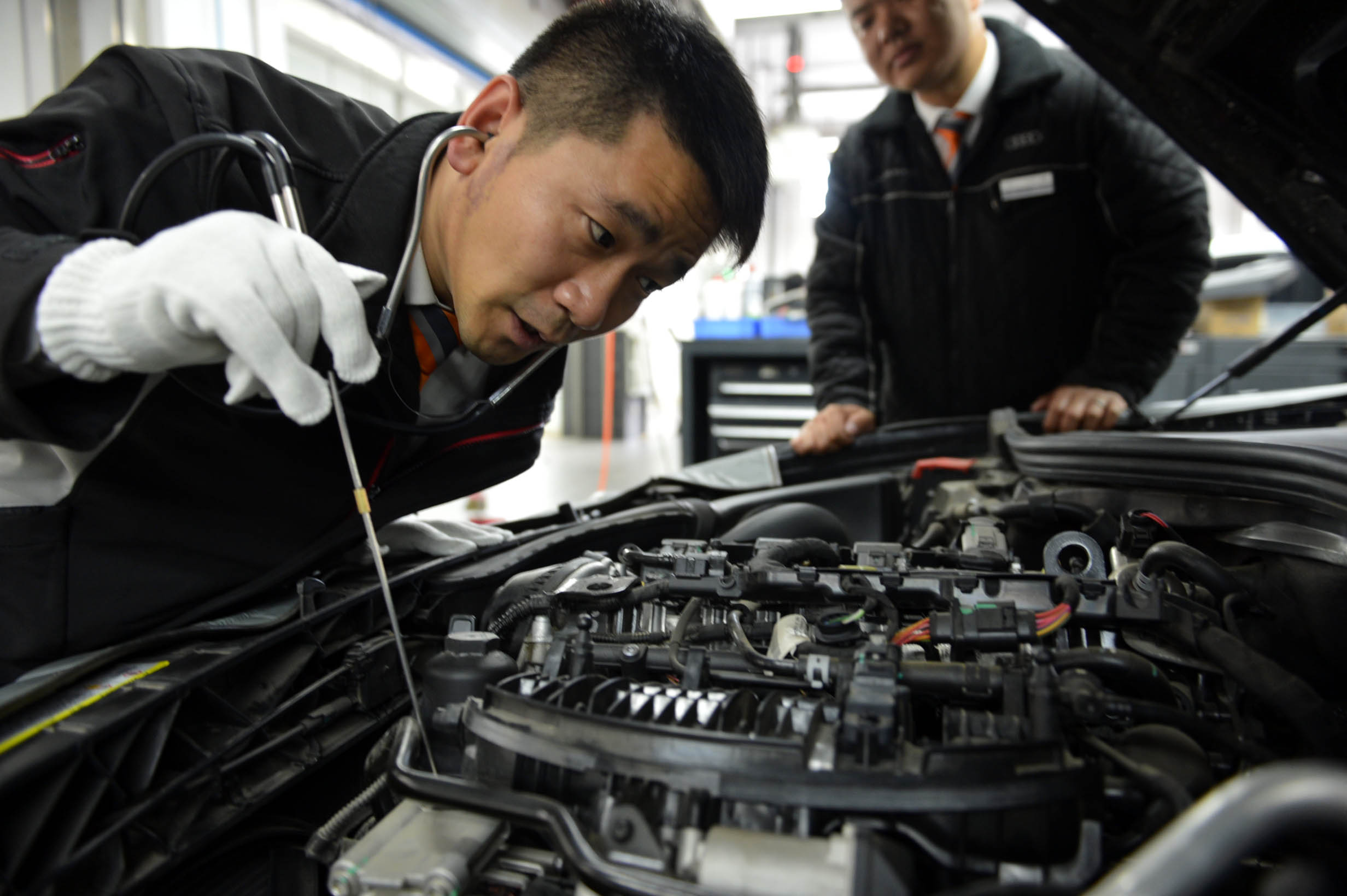 加拿大28预测网