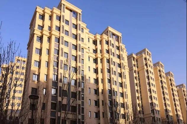 加拿大28预测网