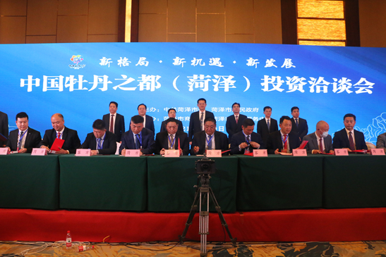 加拿大28预测网