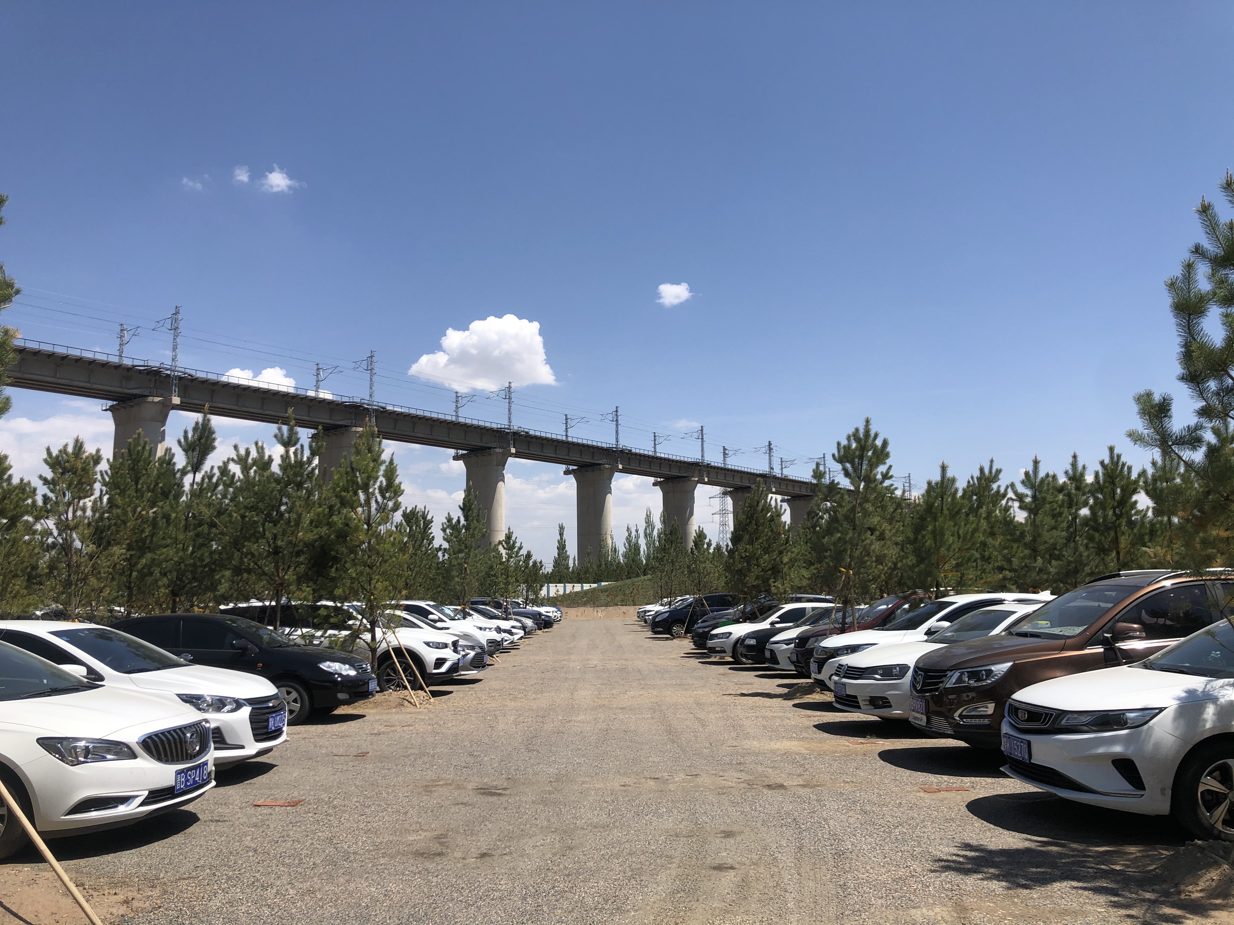 加拿大28预测网