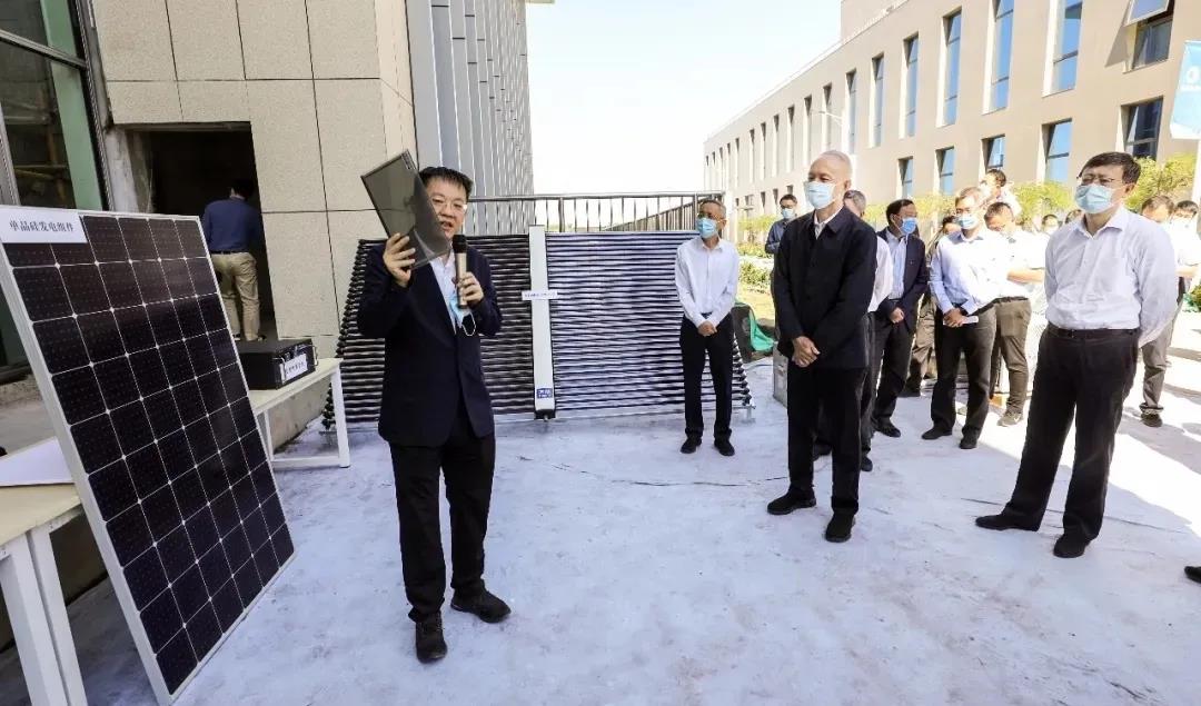 加拿大28预测网