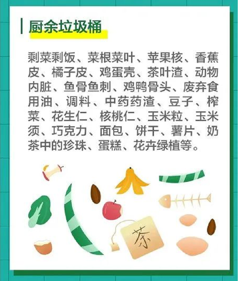 加拿大28预测网