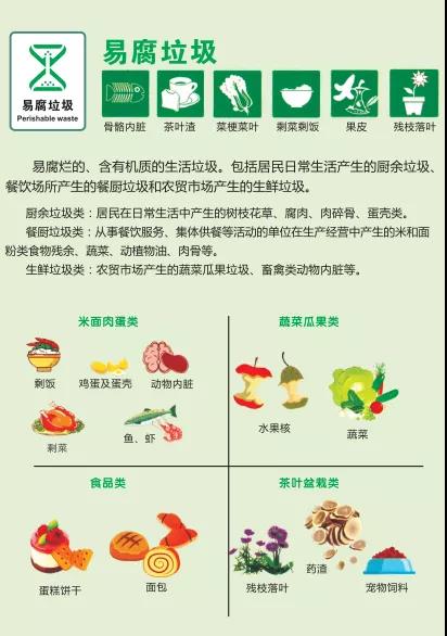 加拿大28预测网