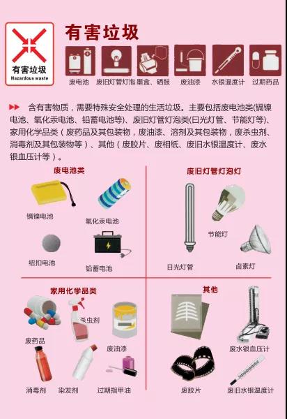 加拿大28预测网