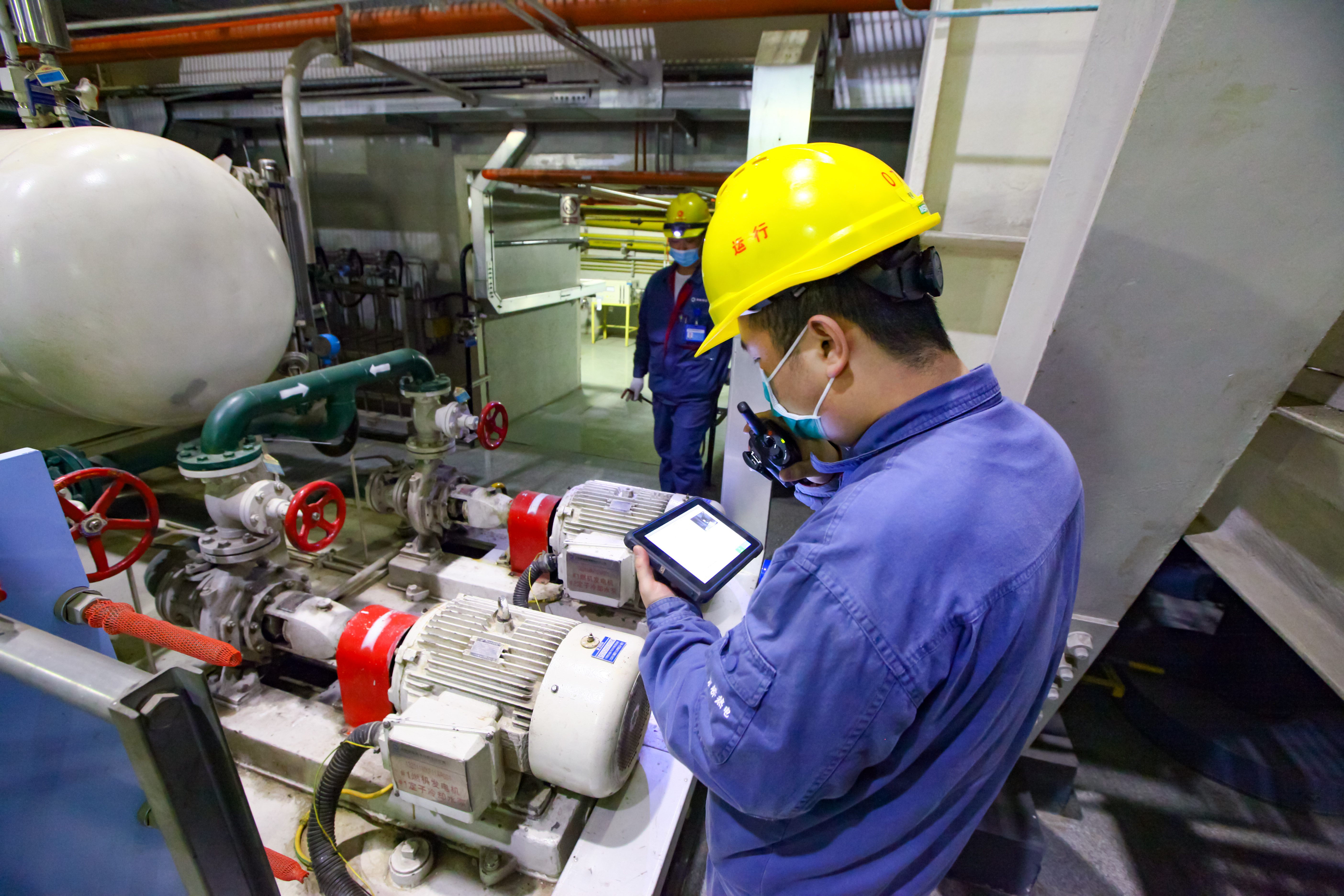 加拿大28预测网