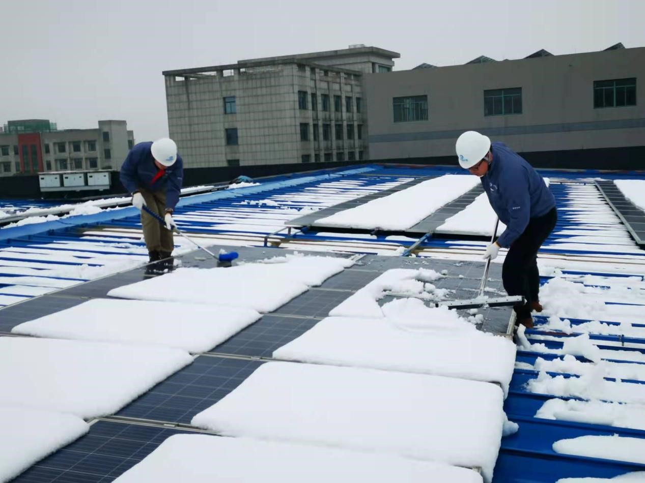 加拿大28预测网