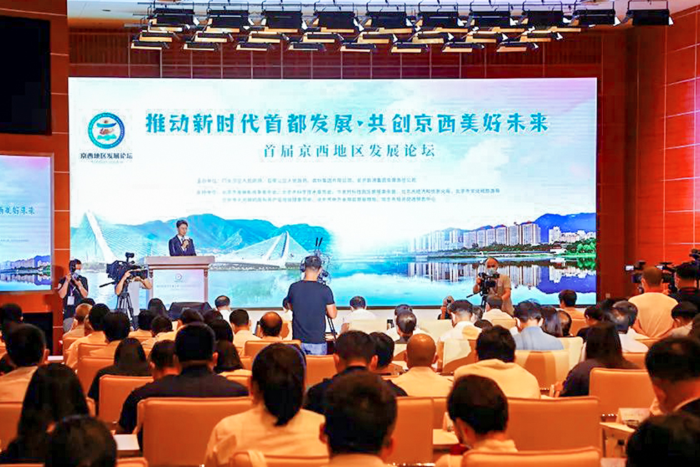 加拿大28预测网