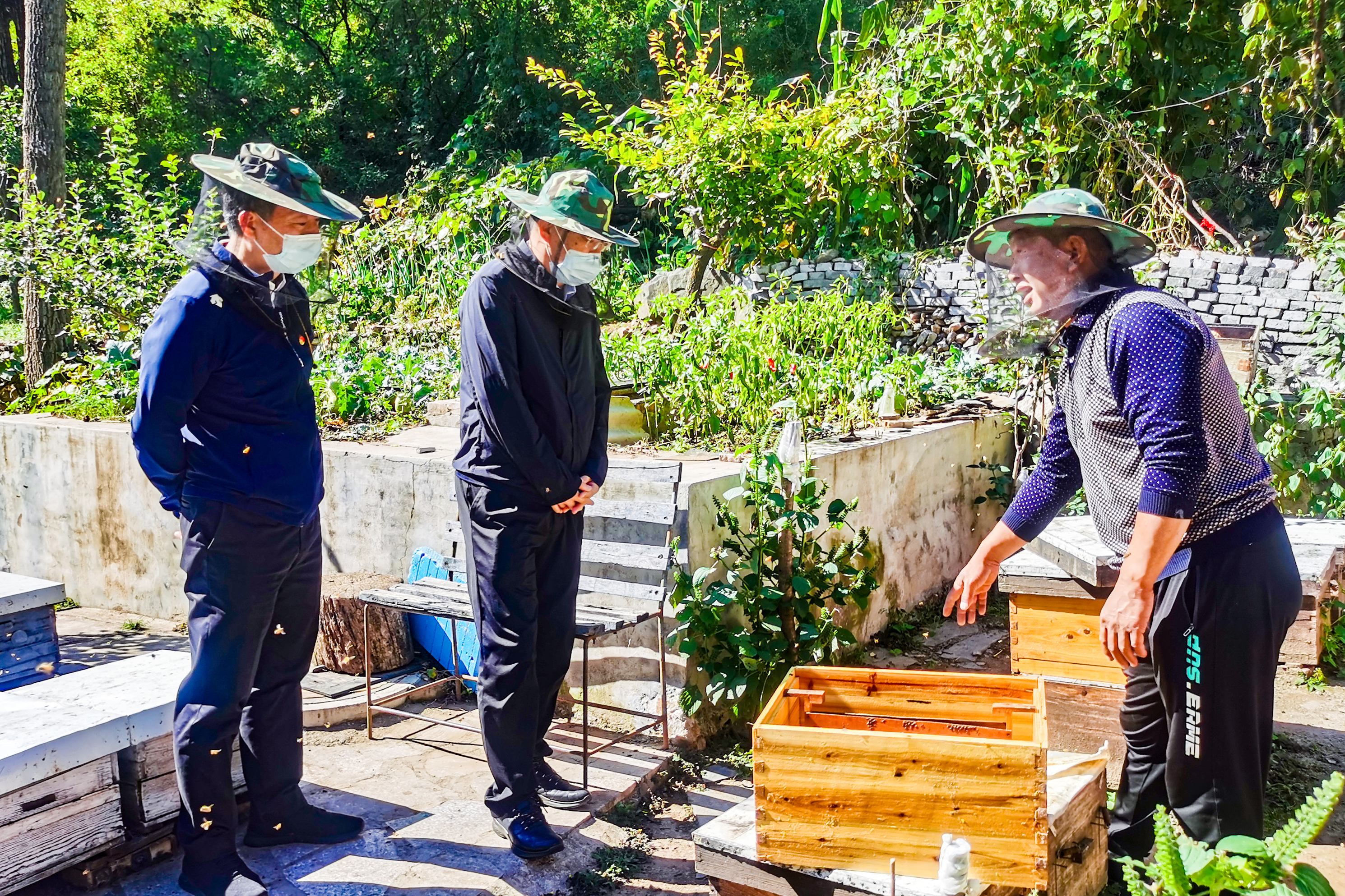 加拿大28预测网