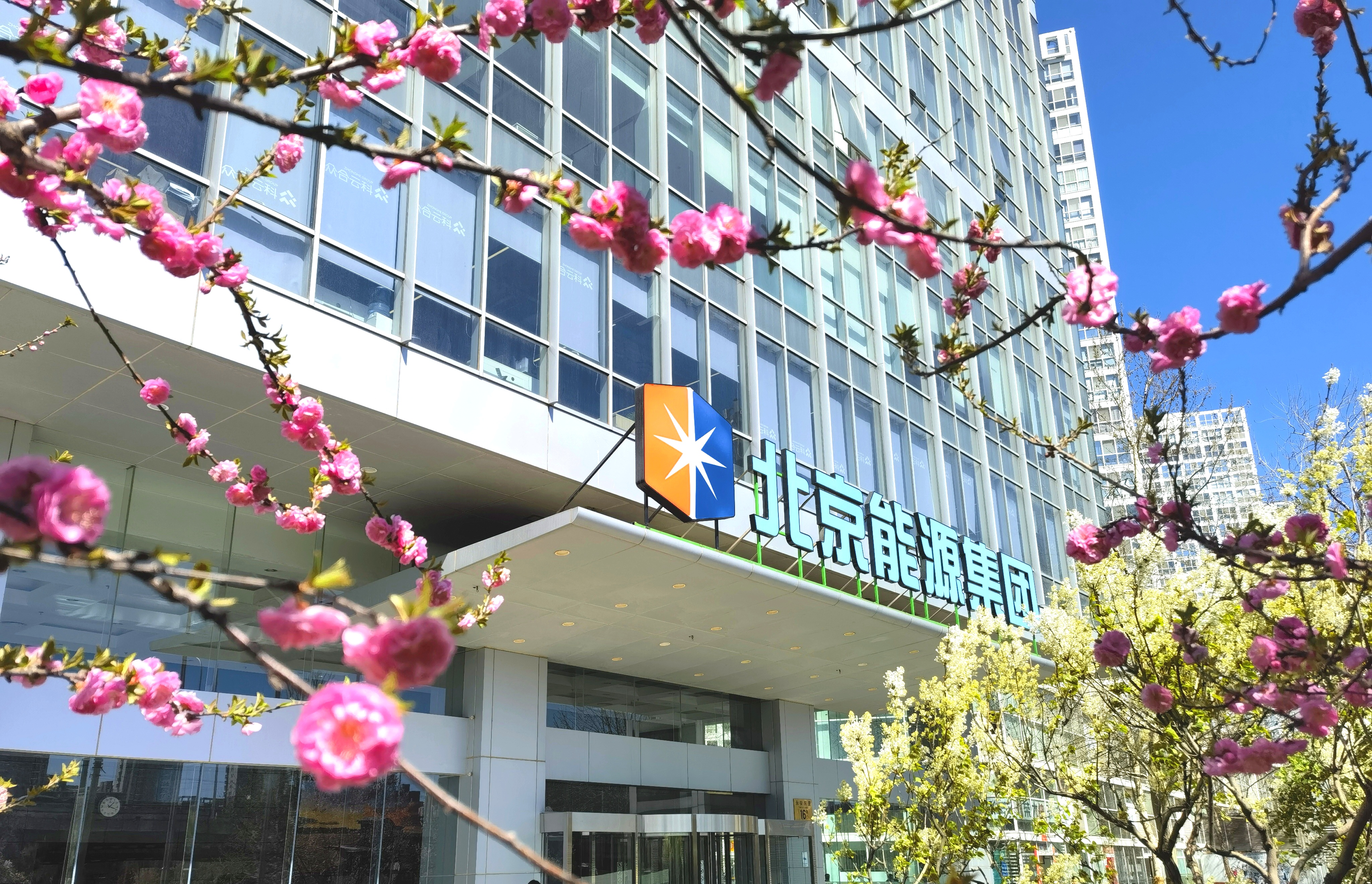 加拿大28预测网