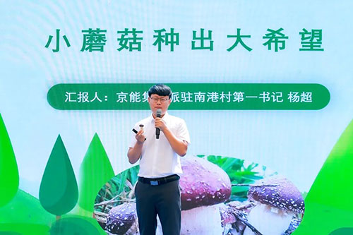 加拿大28预测网