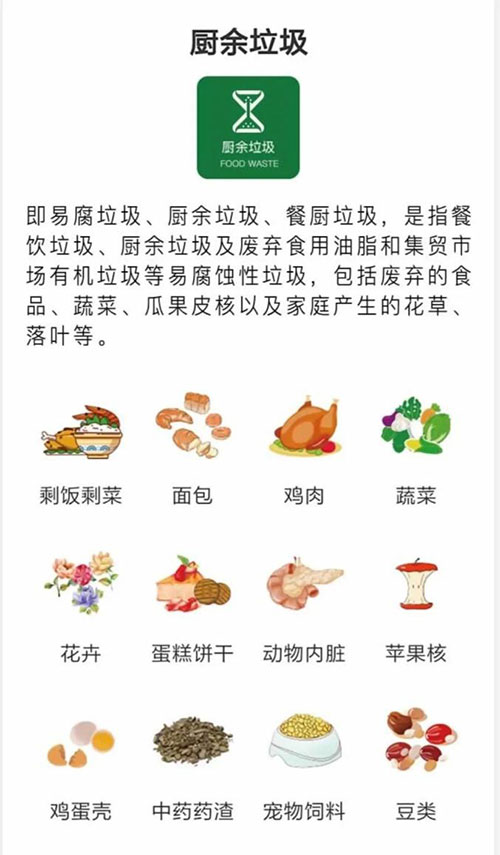 加拿大28预测网