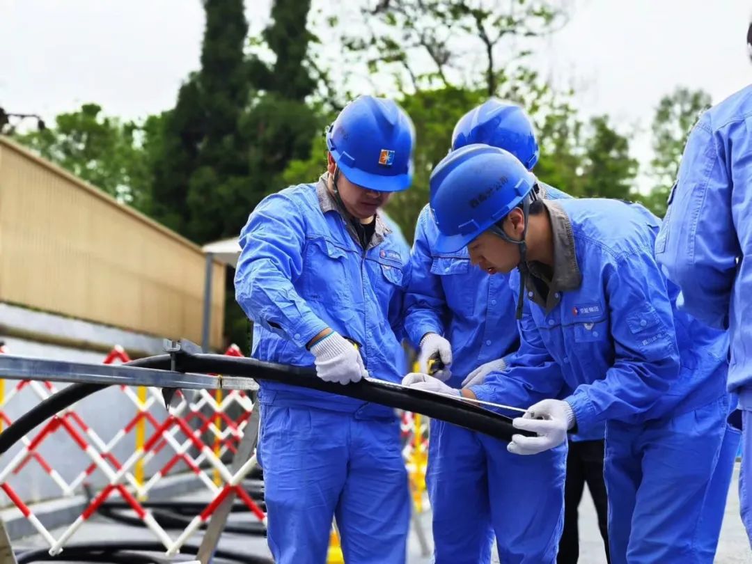 加拿大28预测网