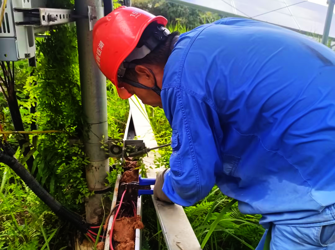 加拿大28预测网