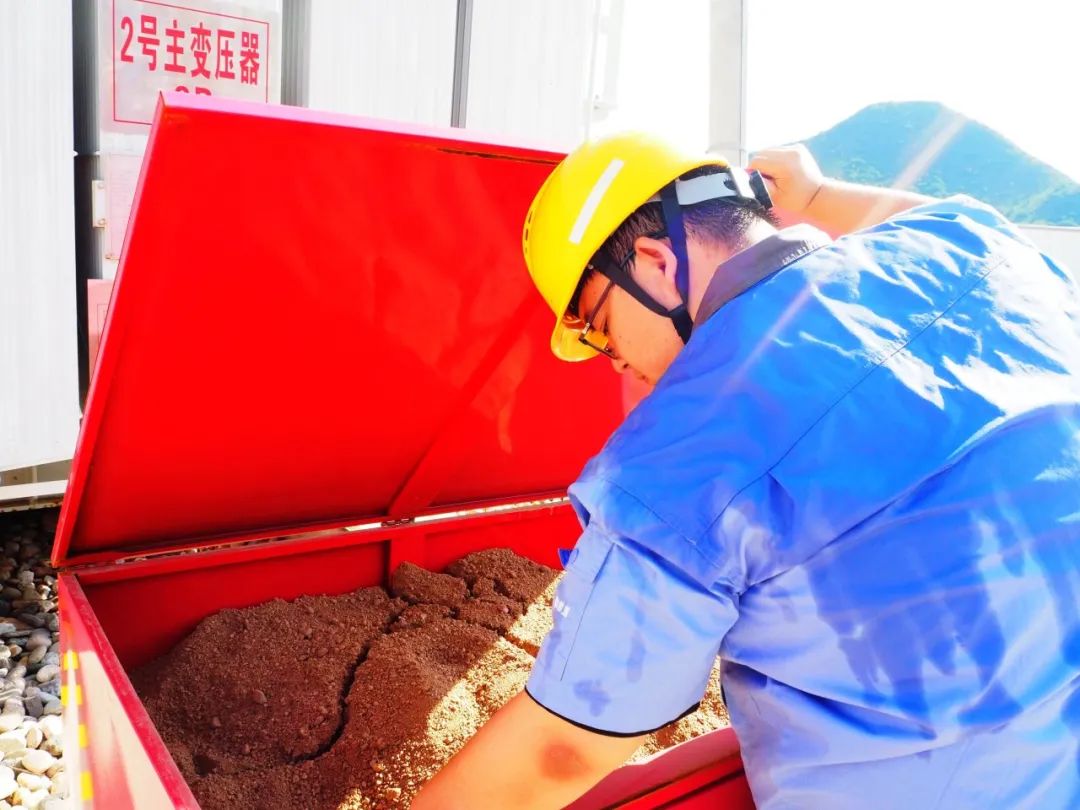 加拿大28预测网