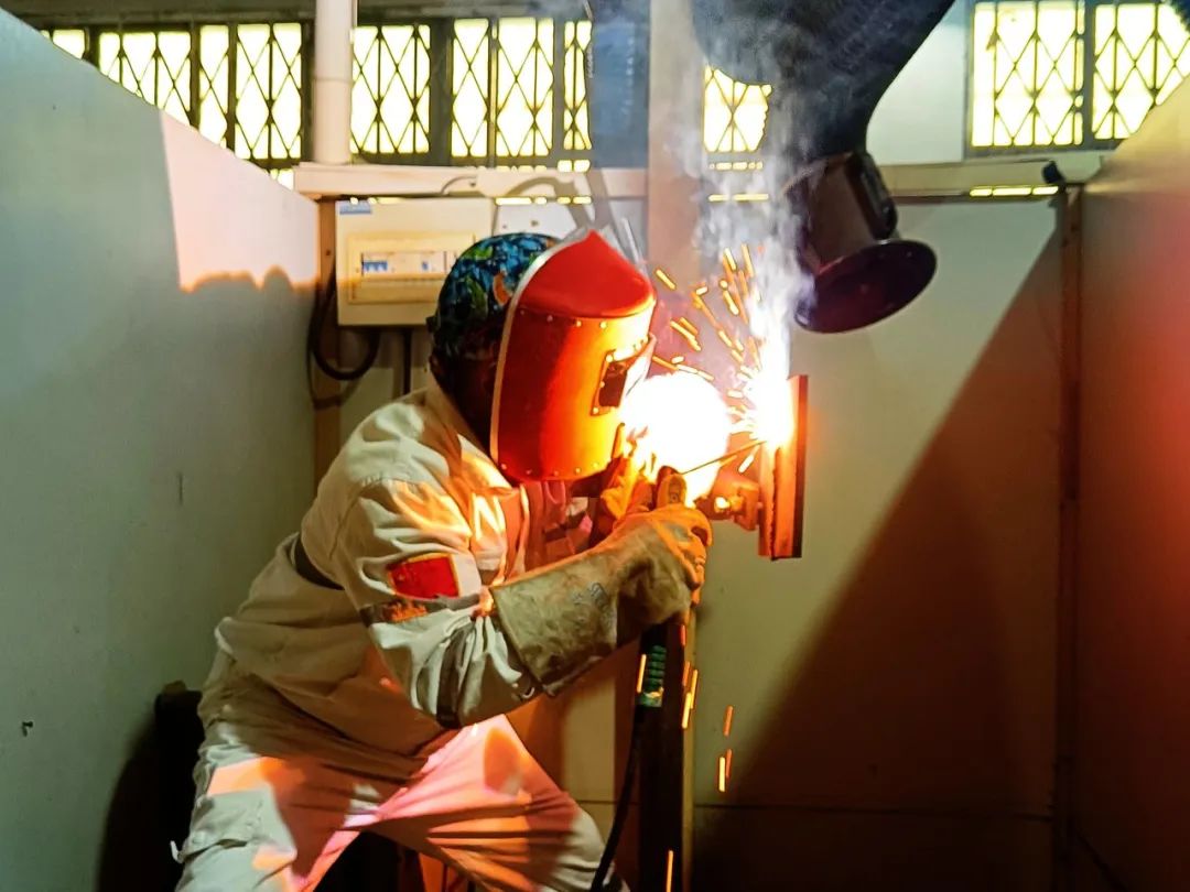 加拿大28预测网