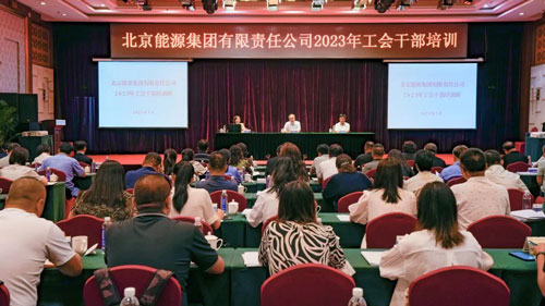 加拿大28预测网