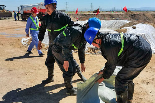 加拿大28预测网