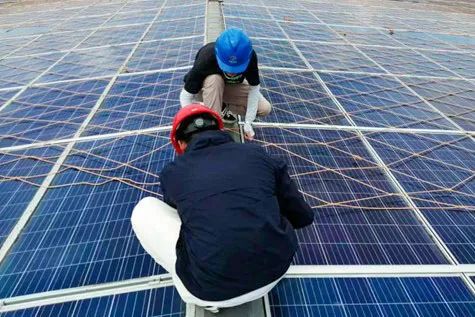 加拿大28预测网