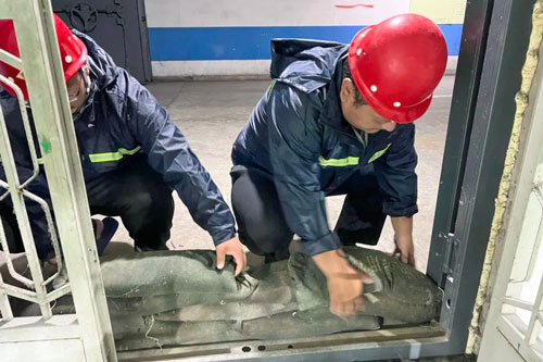 加拿大28预测网