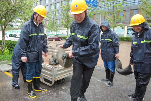 加拿大28预测网