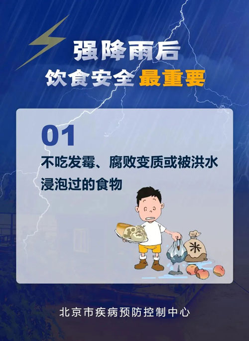 加拿大28预测网