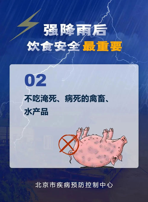 加拿大28预测网