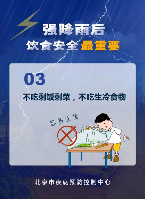 加拿大28预测网