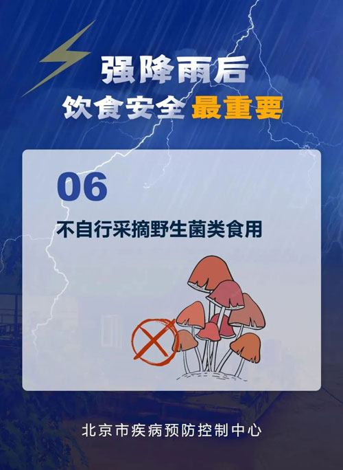 加拿大28预测网