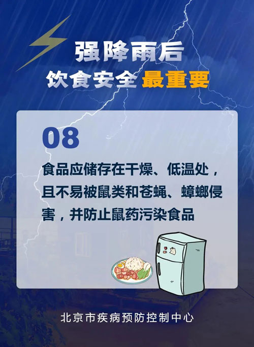 加拿大28预测网