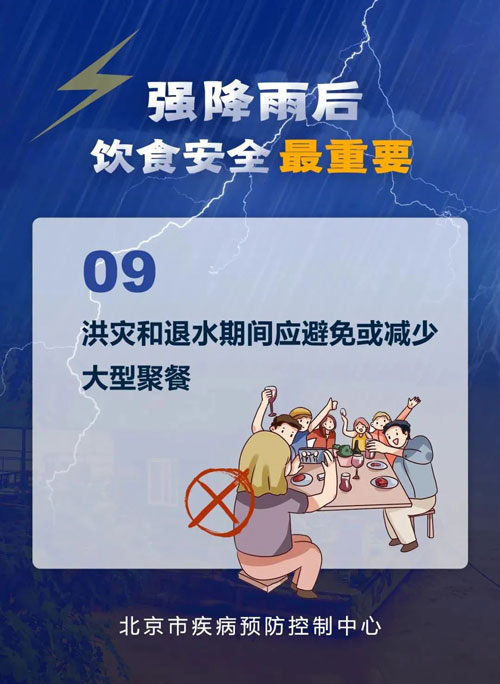 加拿大28预测网