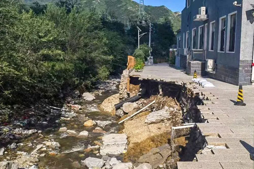 加拿大28预测网