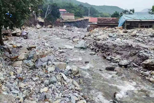 加拿大28预测网