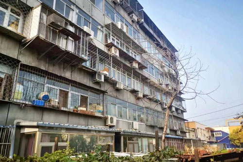 加拿大28预测网