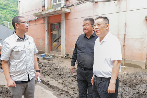 加拿大28预测网