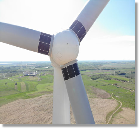 加拿大28预测网