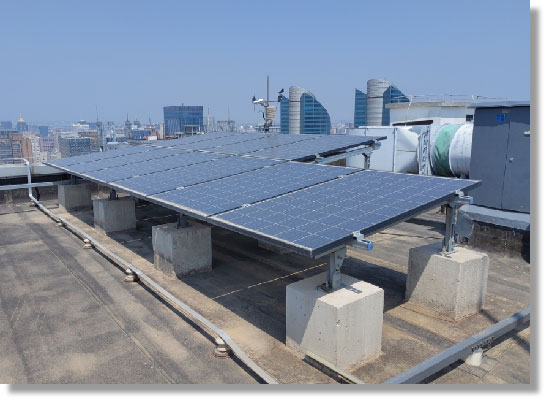 加拿大28预测网